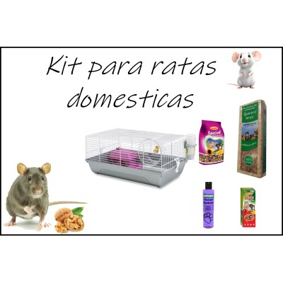 Kit completo para ratas domesticas 